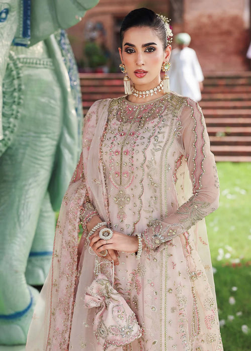 Woman in traditional pink embroidered outfit with elephant in the background