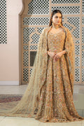 A woman wearing a traditional, fawn-colored maxi dress with embroidery and a dupatta (overlay) featuring an all-over jaal pattern and elaborate embroidery.