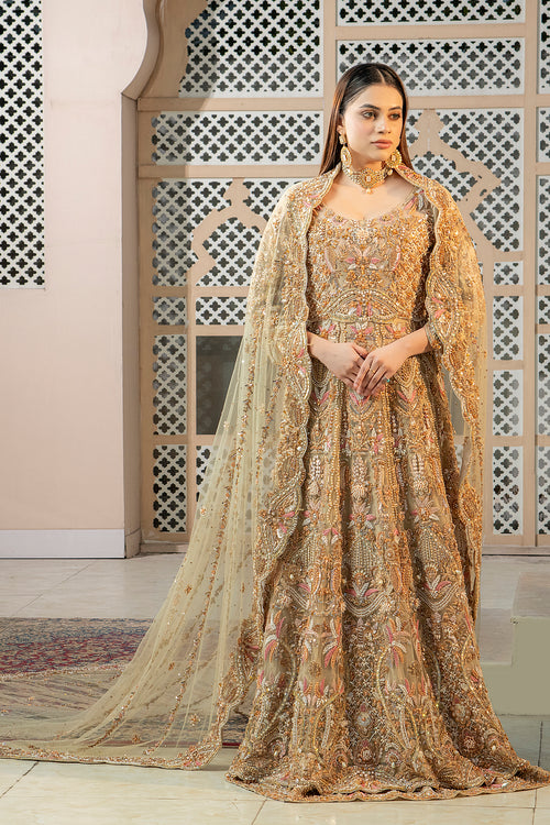 A woman wearing a traditional, fawn-colored maxi dress with embroidery and a dupatta (overlay) featuring an all-over jaal pattern and elaborate embroidery.