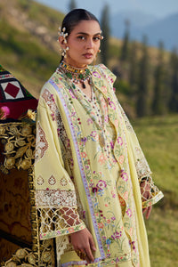 Woman in a traditional embroidered outfit with a scenic background