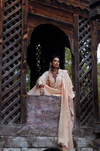 Woman in traditional attire sitting in a wooden cart with lattice sides.