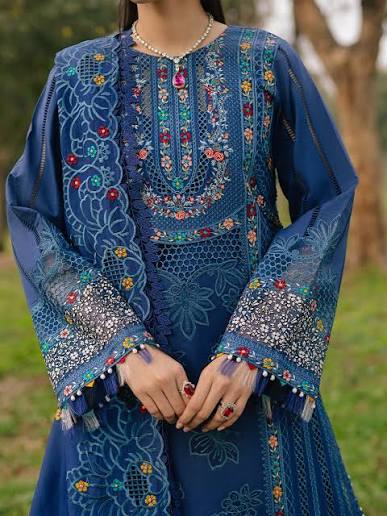 Blue embroidered traditional outfit with colorful details against a natural background