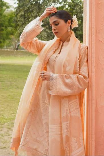 A woman wearing a peach-colored traditional outfit with a matching sheer outer layer and embroidered details, standing outdoors next to a pinkish pillar with a grassy park in the background.