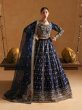 Woman in a traditional blue and silver embroidered outfit standing on a swing.