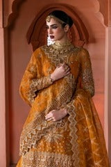 Embroidered Lehenga - Akbar Aslam Sullaniya (Zareen)