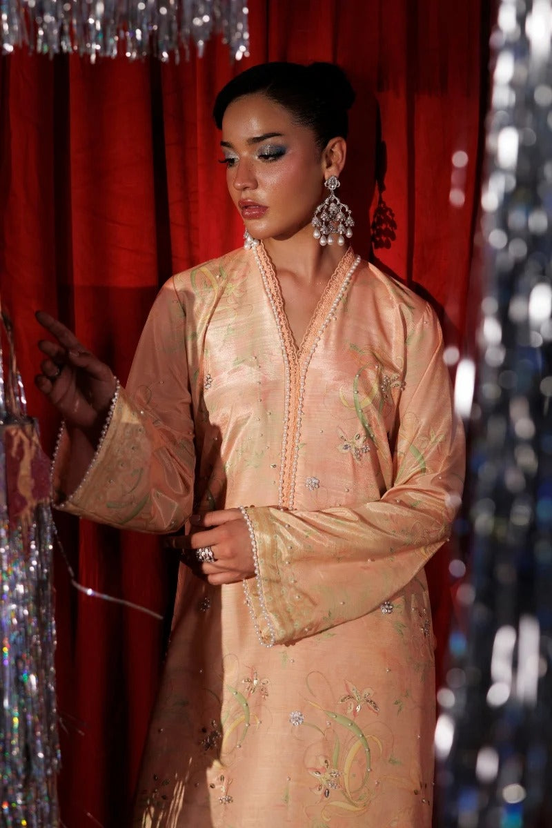 A woman modeling a peach-colored embroidered traditional outfit with sheer sleeves, standing in front of a red curtain backdrop with decorative hanging lights.