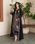 SILK - ROHEENAZ - MAH E NOOR - CHANDNI