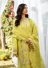LAWN - AKBAR ASLAM - ELEA LAWN' 26 - NIVELLE