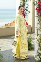 LAWN - AKBAR ASLAM - ELEA LAWN' 26 - LUNETTA