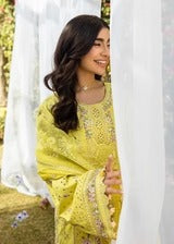 LAWN - AKBAR ASLAM - ELEA LAWN' 26 - NIVELLE