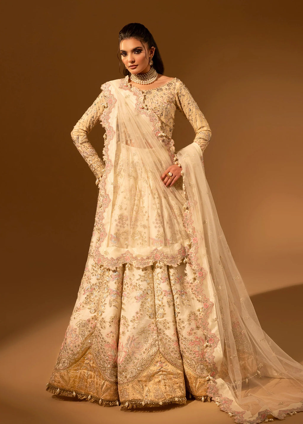 Woman wearing a traditional embroidered outfit with a sheer dupatta against a brown background