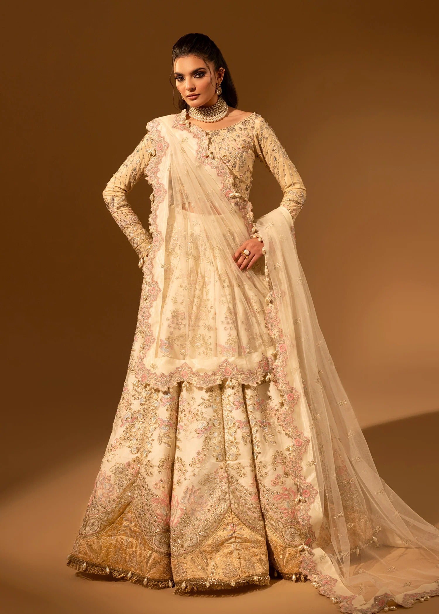 Woman wearing a traditional embroidered outfit with a sheer dupatta against a brown background