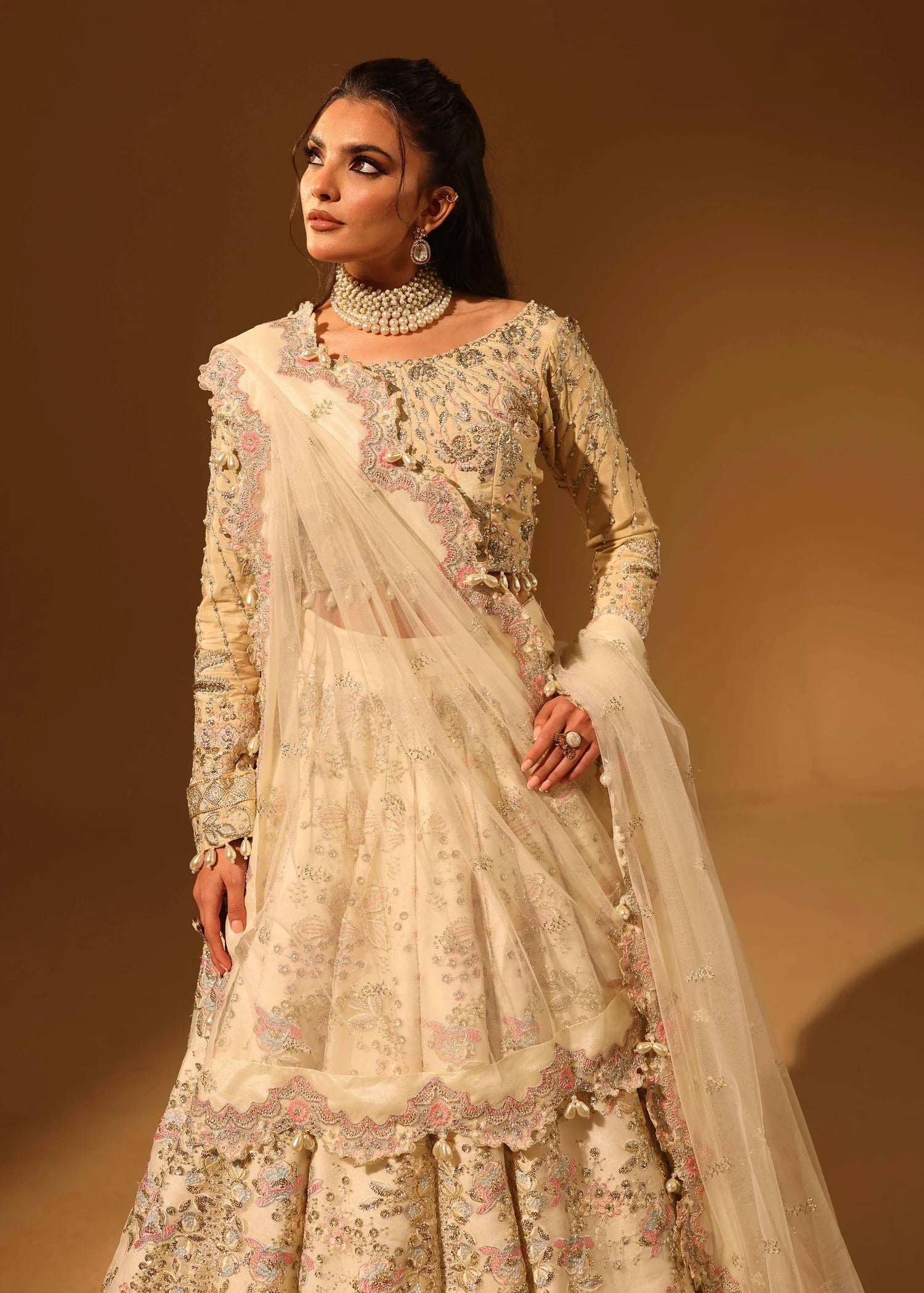 Woman in a traditional embroidered outfit with a plain background