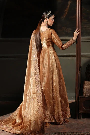 Woman in a traditional brown outfit with a long train, standing in a dimly lit room.